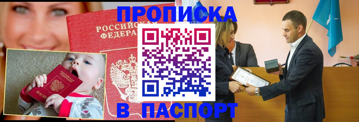 прописка поиск в Новгородской области